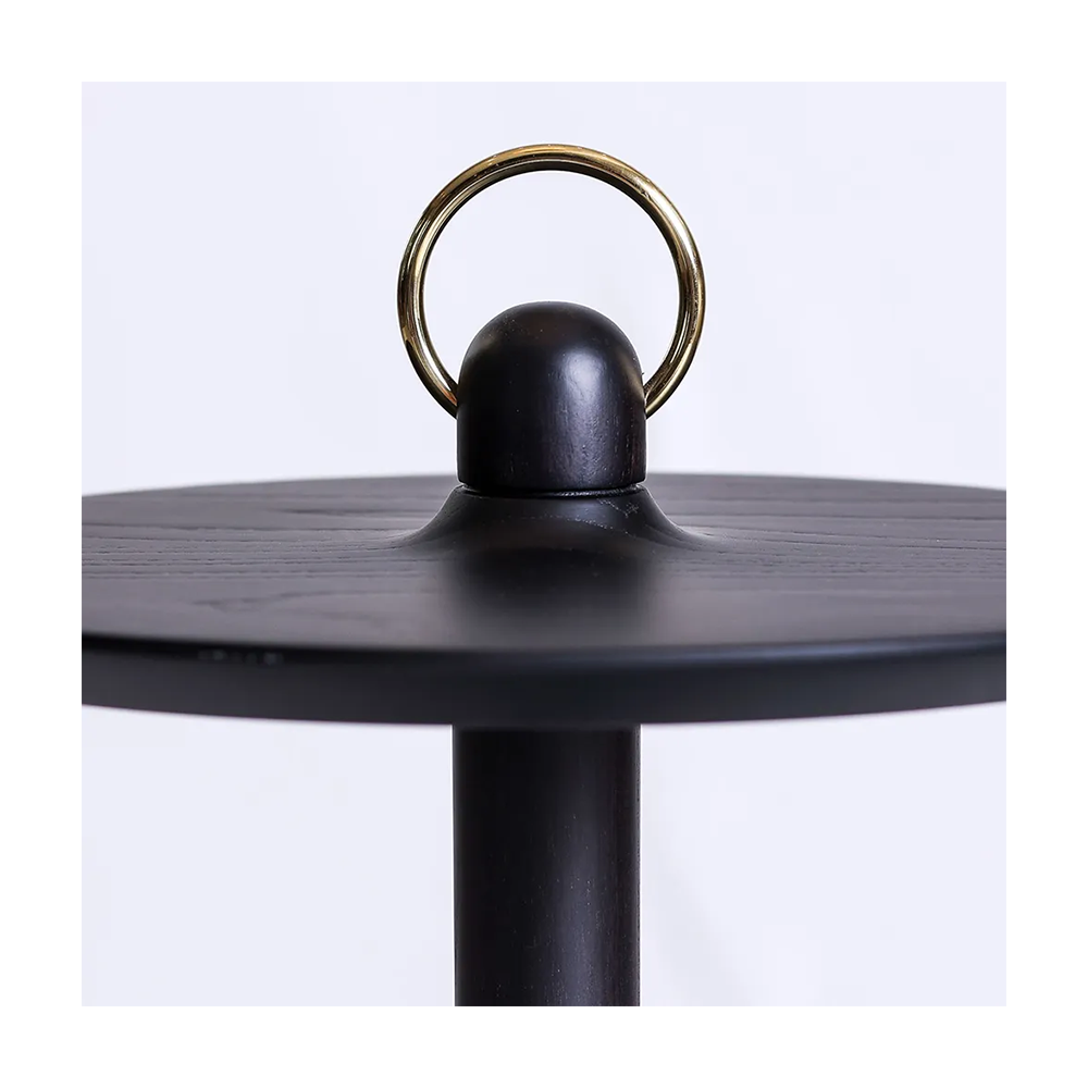 torus1